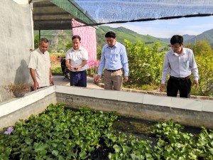 Trung tâm DVKTNN TP Hạ Long: Đồng hành cùng nông dân phát triển sản xuất  